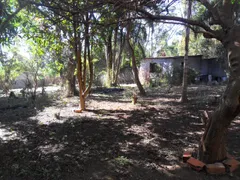 Fazenda / Sítio / Chácara com 3 Quartos à venda, 2500m² no Pavão-Canguera, São Roque - Foto 6