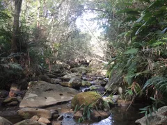 Terreno / Lote / Condomínio à venda, 20000m² no Areias de Macacu, Garopaba - Foto 26