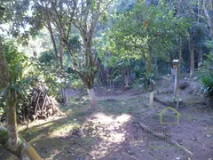 Fazenda / Sítio / Chácara com 3 Quartos à venda, 1580m² no Centro, Salesópolis - Foto 26