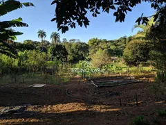 Fazenda / Sítio / Chácara com 2 Quartos à venda, 200m² no Nossa Senhora da Paz, São Joaquim de Bicas - Foto 22