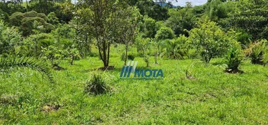 Fazenda / Sítio / Chácara com 3 Quartos à venda, 150m² no Lagoinha, Tijucas do Sul - Foto 32