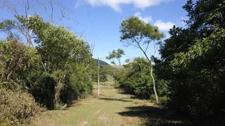 Terreno / Lote / Condomínio à venda, 20000m² no Pedro do Rio, Petrópolis - Foto 2