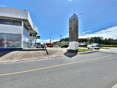 Loja / Salão / Ponto Comercial para alugar, 1589m² no Picadas do Sul, São José - Foto 2