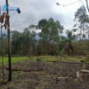 Terreno / Lote / Condomínio à venda, 5000m² no , Pirapora do Bom Jesus - Foto 10