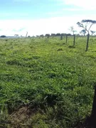Fazenda / Sítio / Chácara com 3 Quartos à venda, 980000000m² no Zona Rural,  - Foto 11