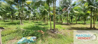 Fazenda / Sítio / Chácara com 2 Quartos à venda, 100000m² no Centro, Santa Bárbara do Pará - Foto 1