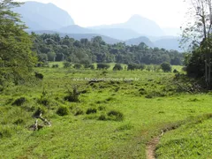 Fazenda / Sítio / Chácara com 3 Quartos à venda, 750200m² no Maraporã, Cachoeiras de Macacu - Foto 10