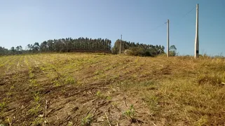 Fazenda / Sítio / Chácara com 2 Quartos à venda, 80m² no Zona Rural, São Miguel Arcanjo - Foto 17