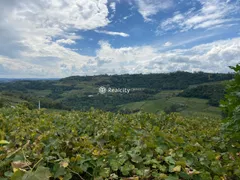 Terreno / Lote / Condomínio à venda no Centro, Monte Belo do Sul - Foto 7