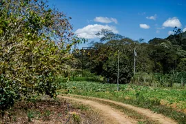 Fazenda / Sítio / Chácara com 4 Quartos à venda, 1016400m² no Providencia, Teresópolis - Foto 14