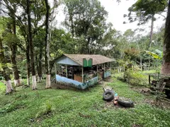 Fazenda / Sítio / Chácara com 3 Quartos à venda, 166m² no Palmitalzinho, Quatro Barras - Foto 18