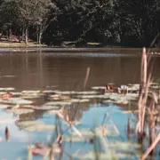 Kitnet à venda, 50m² no Varzea Grande, Gramado - Foto 18