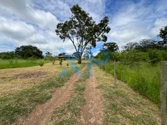 Fazenda / Sítio / Chácara com 3 Quartos à venda, 290m² no Zona Rural, São Sebastião do Oeste - Foto 3