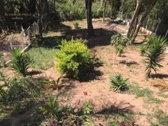 Fazenda / Sítio / Chácara com 1 Quarto à venda, 110m² no Vila Pedra Vermelha, Mairiporã - Foto 27