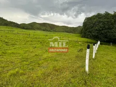 Fazenda / Sítio / Chácara à venda no Zona Rural, Vila Propício - Foto 12