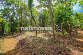 Terreno / Lote / Condomínio à venda, 1045m² no Bosque da Ribeira, Nova Lima - Foto 9