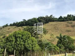 Fazenda / Sítio / Chácara com 4 Quartos à venda, 68000m² no Ribeirão de São Joaquim, Quatis - Foto 5