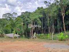 Fazenda / Sítio / Chácara com 2 Quartos à venda, 76m² no Area Rural de Sao Jose dos Pinhais, São José dos Pinhais - Foto 9