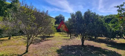 Fazenda / Sítio / Chácara com 3 Quartos à venda, 100000m² no Capoeirinha, Guararema - Foto 10