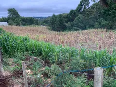 Fazenda / Sítio / Chácara à venda, 24000m² no Zona Rural, Mandirituba - Foto 30