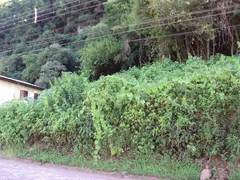 Terreno / Lote Comercial à venda no Galópolis, Caxias do Sul - Foto 1