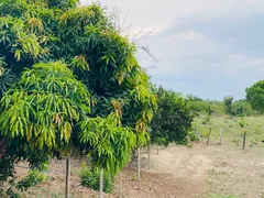 Fazenda / Sítio / Chácara com 4 Quartos à venda, 144000m² no Zona Rural, Faina - Foto 33