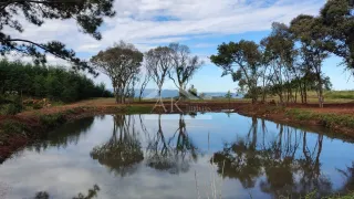 Terreno / Lote / Condomínio à venda, 24156m² no , Linha Nova - Foto 7