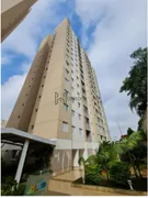 Apartamento com 2 Quartos à venda, 60m² no Vila Moraes, São Paulo - Foto 45