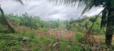 Fazenda / Sítio / Chácara com 4 Quartos à venda, 300m² no Boa Esperança, Rio Bonito - Foto 16