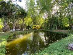 Fazenda / Sítio / Chácara com 4 Quartos à venda, 50000m² no , Pedras de Fogo - Foto 22