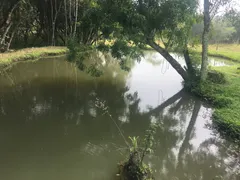 Fazenda / Sítio / Chácara com 7 Quartos à venda, 10000m² no Rio de Una, Ibiúna - Foto 17