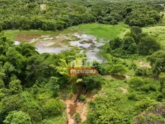 Fazenda / Sítio / Chácara com 4 Quartos à venda, 4259200m² no Zona Rural, Bom Jardim de Goiás - Foto 8