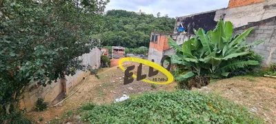 Terreno / Lote / Condomínio à venda, 300m² no Quinta dos Angicos, Cotia - Foto 1