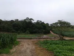 Terreno / Lote / Condomínio à venda, 14300m² no Restinga Seca, Almirante Tamandaré - Foto 6