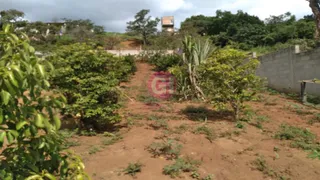 Fazenda / Sítio / Chácara com 3 Quartos à venda, 100m² no Santa Cecília II, São José dos Campos - Foto 13