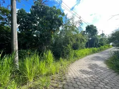 Terreno / Lote / Condomínio à venda, 1000m² no Siriuba, Ilhabela - Foto 4