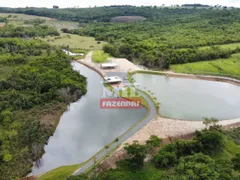 Fazenda / Sítio / Chácara com 2 Quartos à venda, 250m² no Zona Rural, Piracanjuba - Foto 15