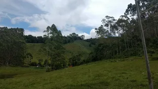 Fazenda / Sítio / Chácara com 2 Quartos à venda, 240000m² no Pouso Alto, Natividade da Serra - Foto 14