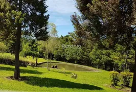 Fazenda / Sítio / Chácara à venda, 240000m² no Avenida Central, Gramado - Foto 10