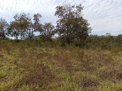 Fazenda / Sítio / Chácara com 1 Quarto à venda, 61000000m² no Vale do Sol, Campo Verde - Foto 1