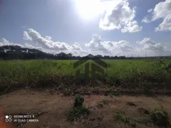 Terreno / Lote / Condomínio à venda, 1000m² no Guabiraba, Recife - Foto 13