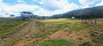 Fazenda / Sítio / Chácara com 2 Quartos à venda, 20000m² no Zona Rural, Urubici - Foto 43