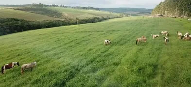 Fazenda / Sítio / Chácara com 4 Quartos à venda, 430000m² no Centro, Ibertioga - Foto 6