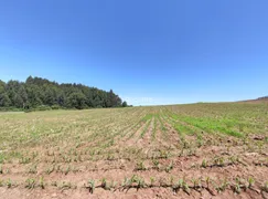 Fazenda / Sítio / Chácara à venda, 22500m² no , Gramado - Foto 4