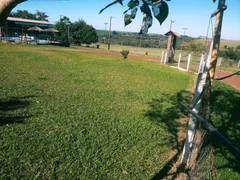 Fazenda / Sítio / Chácara com 4 Quartos à venda, 6000m² no Zona Rural, Santa Terezinha de Itaipu - Foto 13