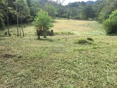 Terreno / Lote / Condomínio à venda, 4200m² no Fazenda Inglesa, Petrópolis - Foto 2