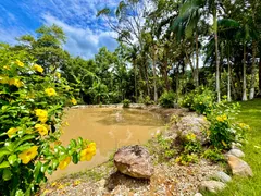 Fazenda / Sítio / Chácara com 2 Quartos à venda, 80m² no Centro, Jacupiranga - Foto 3