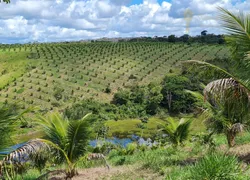 Fazenda / Sítio / Chácara com 4 Quartos à venda, 900000m² no Centro, Valença - Foto 6