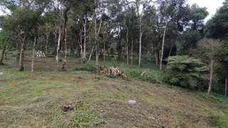 Fazenda / Sítio / Chácara à venda, 2400m² no Campina, Tijucas do Sul - Foto 34