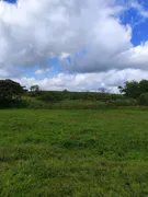 Fazenda / Sítio / Chácara com 3 Quartos à venda, 5000m² no Zona Rural, Monte Alegre - Foto 1